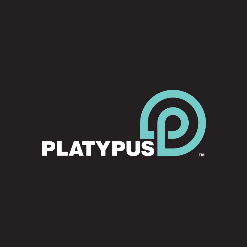 Platypus-Shoes.jpg