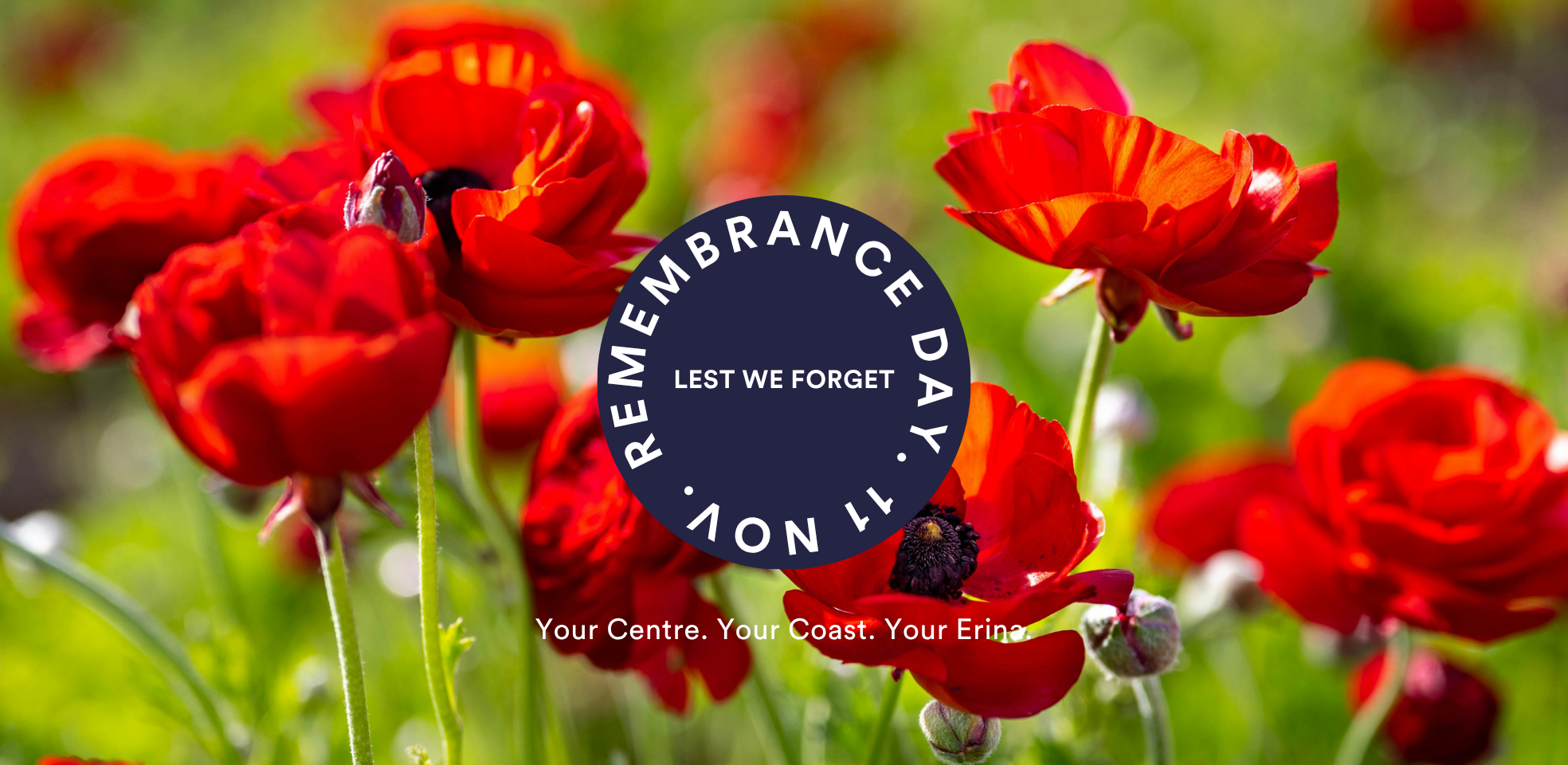 Remembrance Day Hero.png