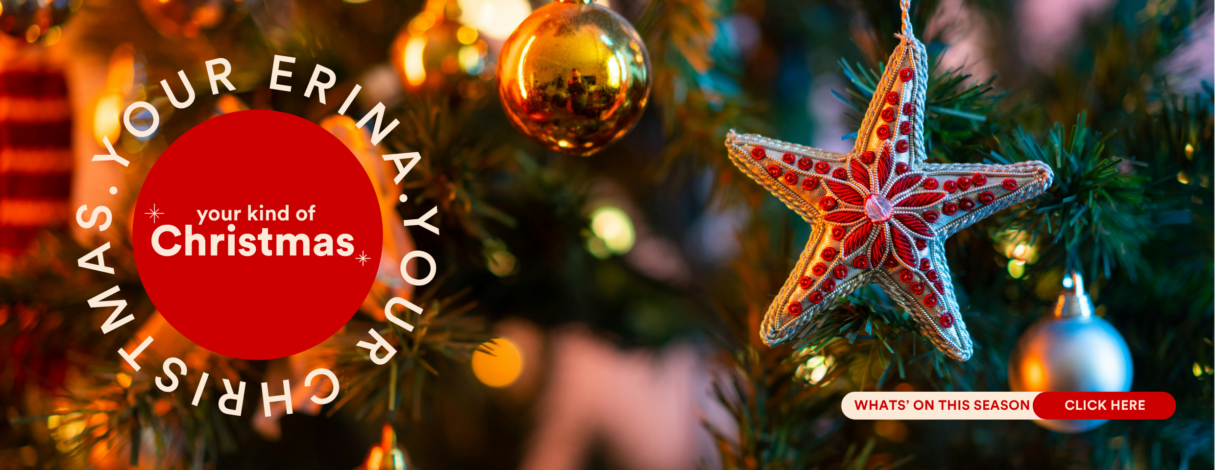 Copy of Xmas 2025 - Website Hero Banner Desktop 2480x960px (3).png