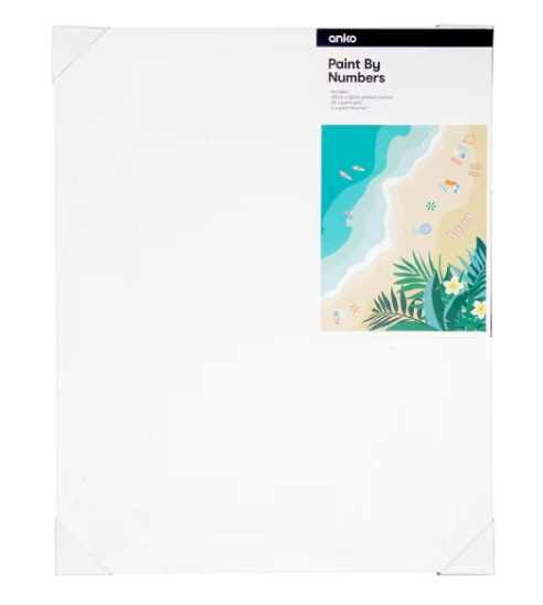 kmart paint by numbers.PNG