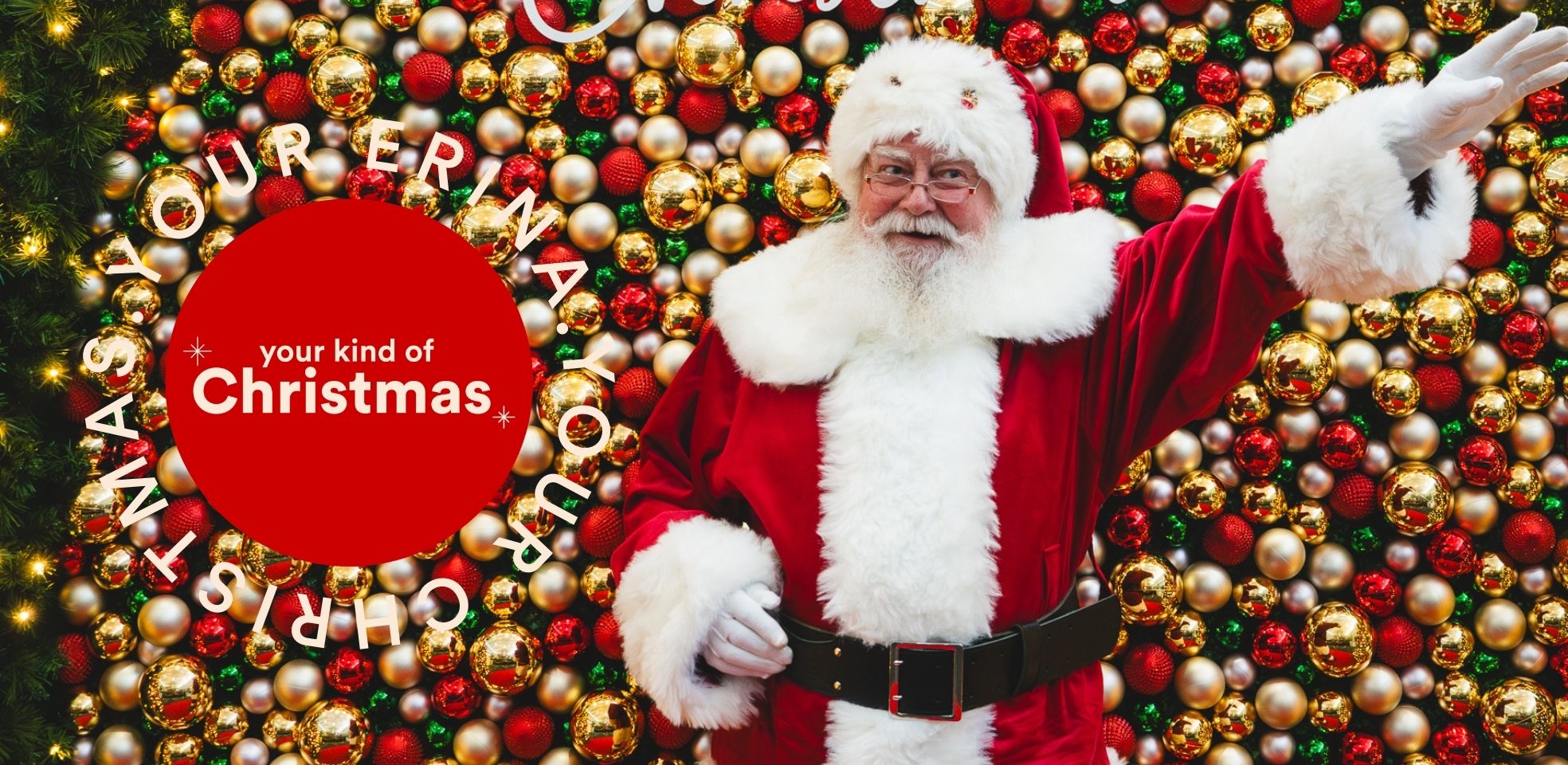 Erina Santa Photography Banners (3).jpg