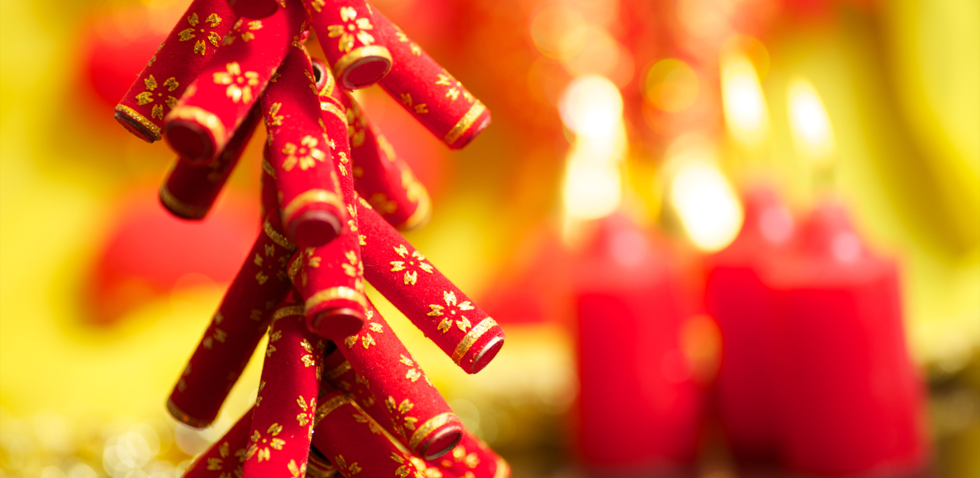 Lunar New Year 2025 (1).png