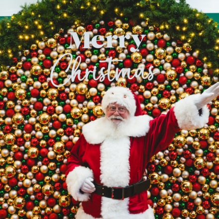 Santa Photography (2).png